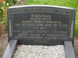 image of grave number 238286
